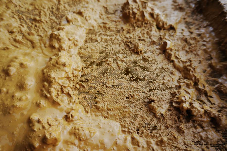 Clay soil 01 The Year Of Mud